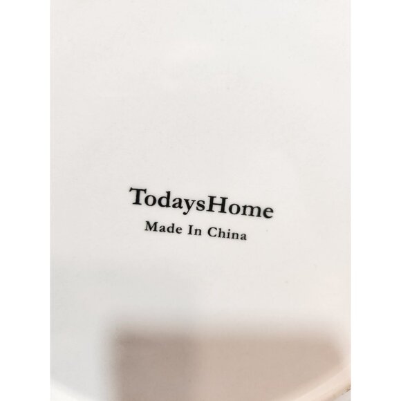 Todays Home Stoneware Fruit Dinner Plates 10.5" Set of 4 Red Green Yellow Purple - Picture 4 of 8